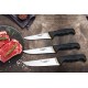 Lazbisa Mutfak Bıçak Seti 3'Lü Platinum Serisi