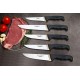 Lazbisa Mutfak Bıçağı 5'Li Set Platinum Serisi