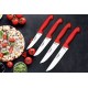 Lazbisa Mutfak Bıçağı 4'Lü Set - Silver Serisi